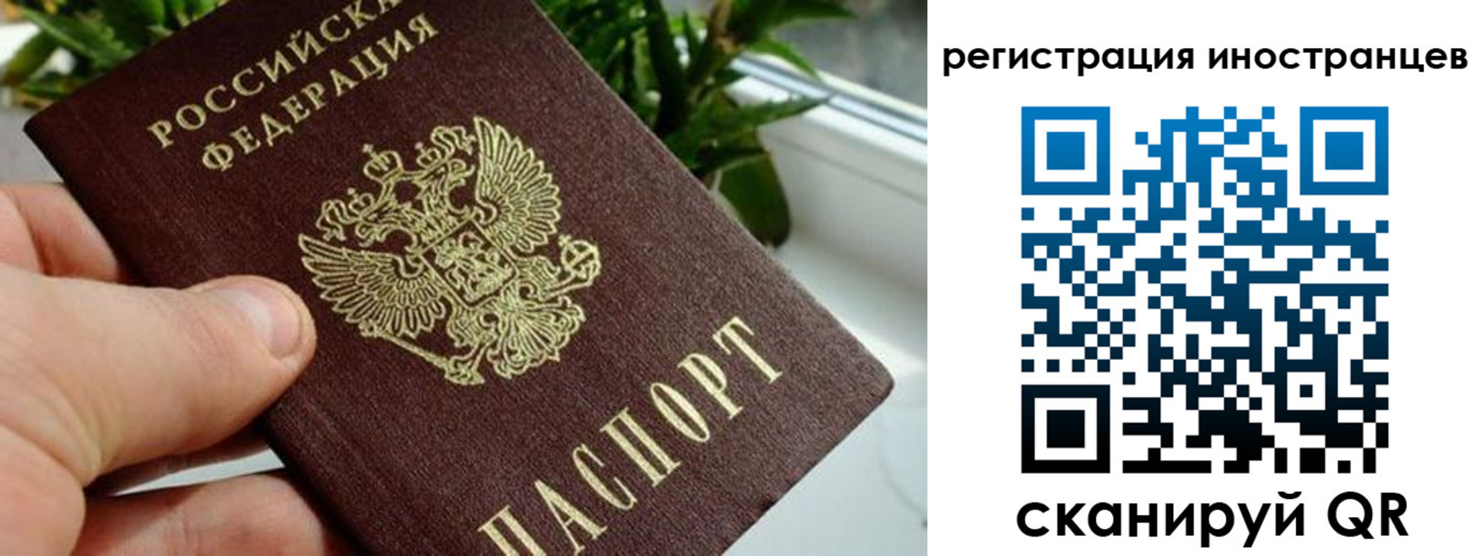 прописка от собственника в Краснодаре
